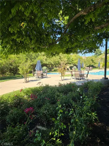 a view of a park with large trees