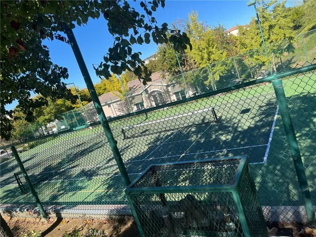 a view of a tree with a tree