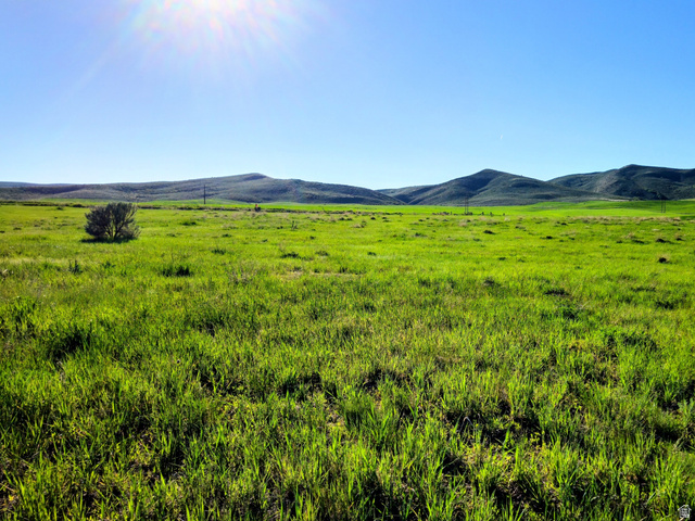 1948 Lower Bern Road, Unit 3 Bern, ID 83220 - Photo 4 of 8 Expansive open land with vibrant green grasslands and distant rolling hills
