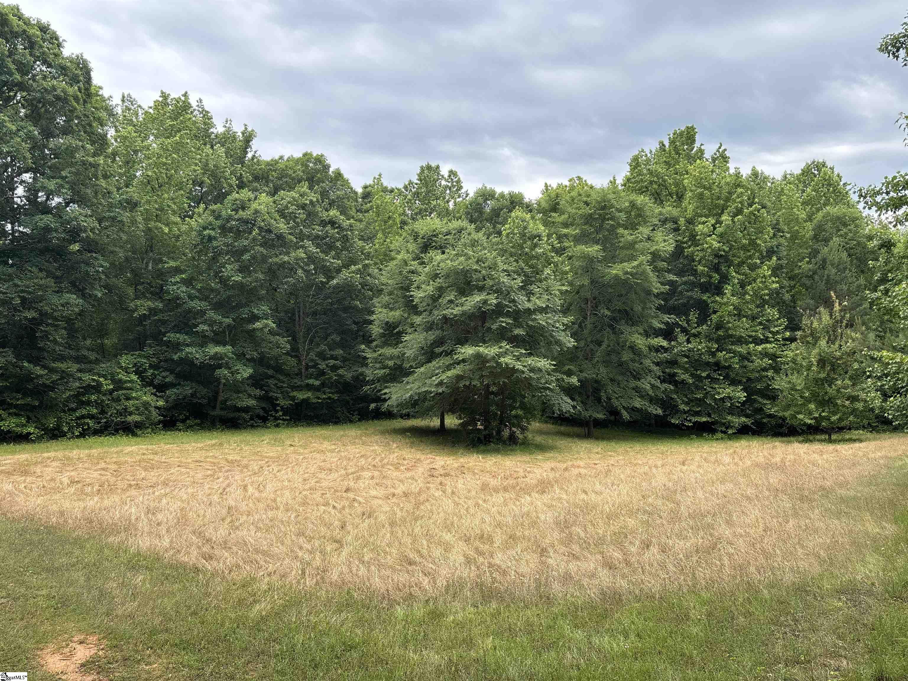 1087 Bobby Faucette Road Jonesville, SC 29353 - Photo 16 of 47