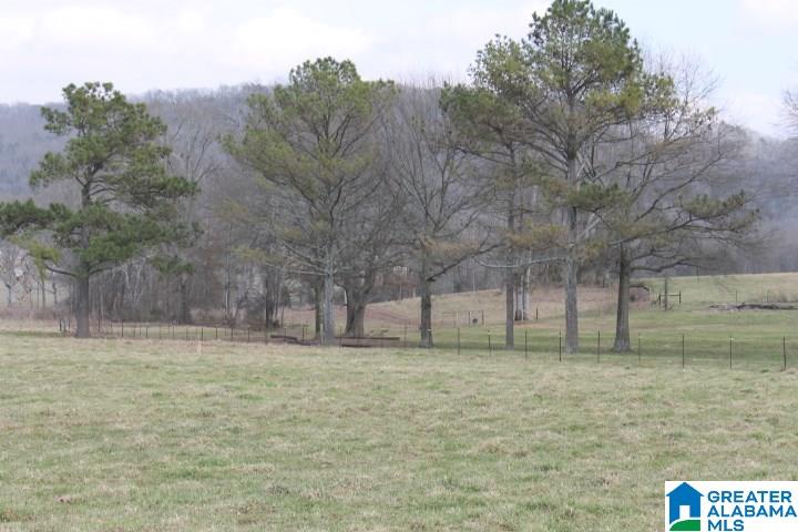 629 Merrill Road Grant, AL 35747 - Photo 9 of 45 Gallery Image 9