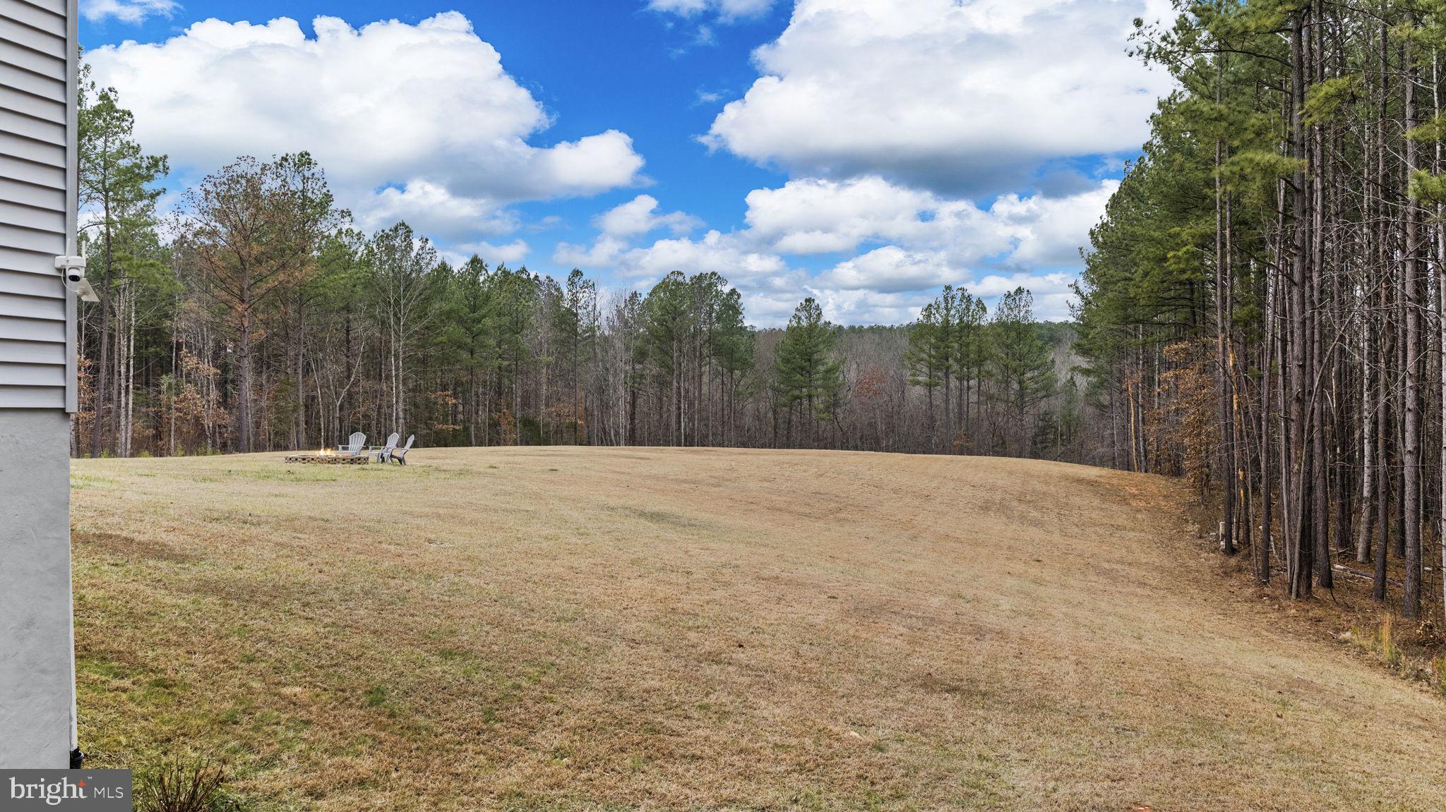 11026 Tower Road Unionville, VA 22567 - Photo 48 of 58 Large Back Yard
