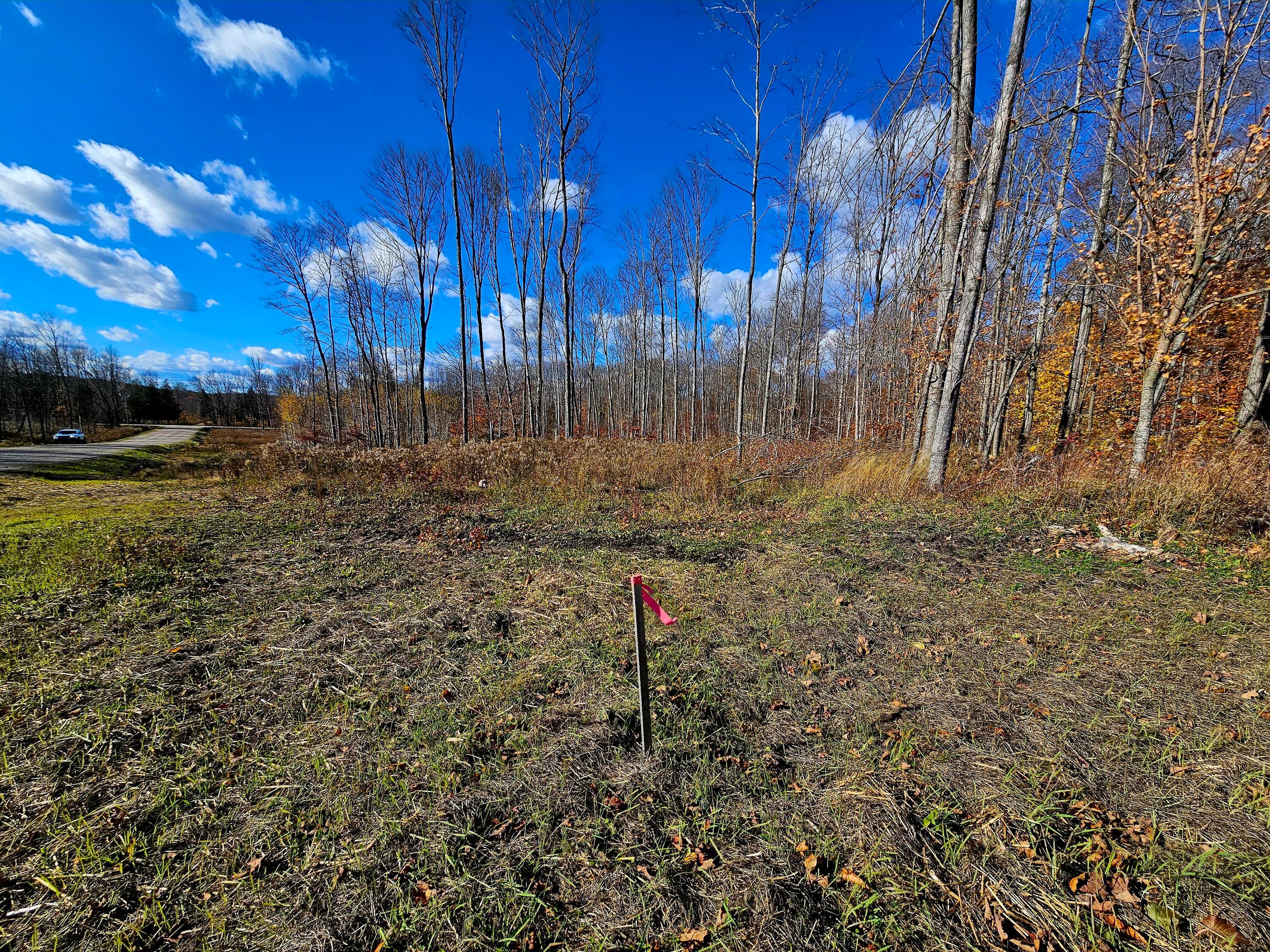 Parcel C Parcel C North Road Curtis, MI 49820 - Photo 3 of 10 Gallery Image 3