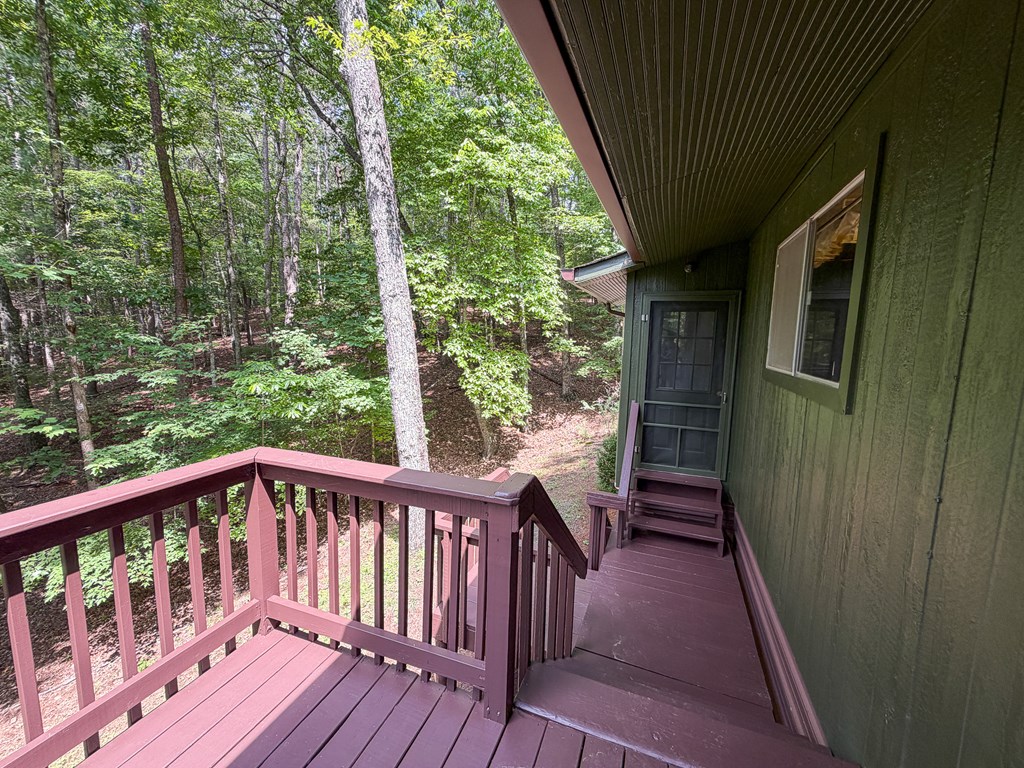 1253 Tipton Springs Road Morganton, GA 30560 - Photo 24 of 48