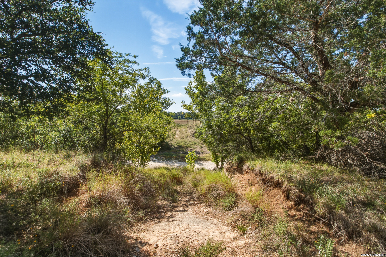 1256 Benton Creek Road Medina, TX 78055 - Photo 27 of 38