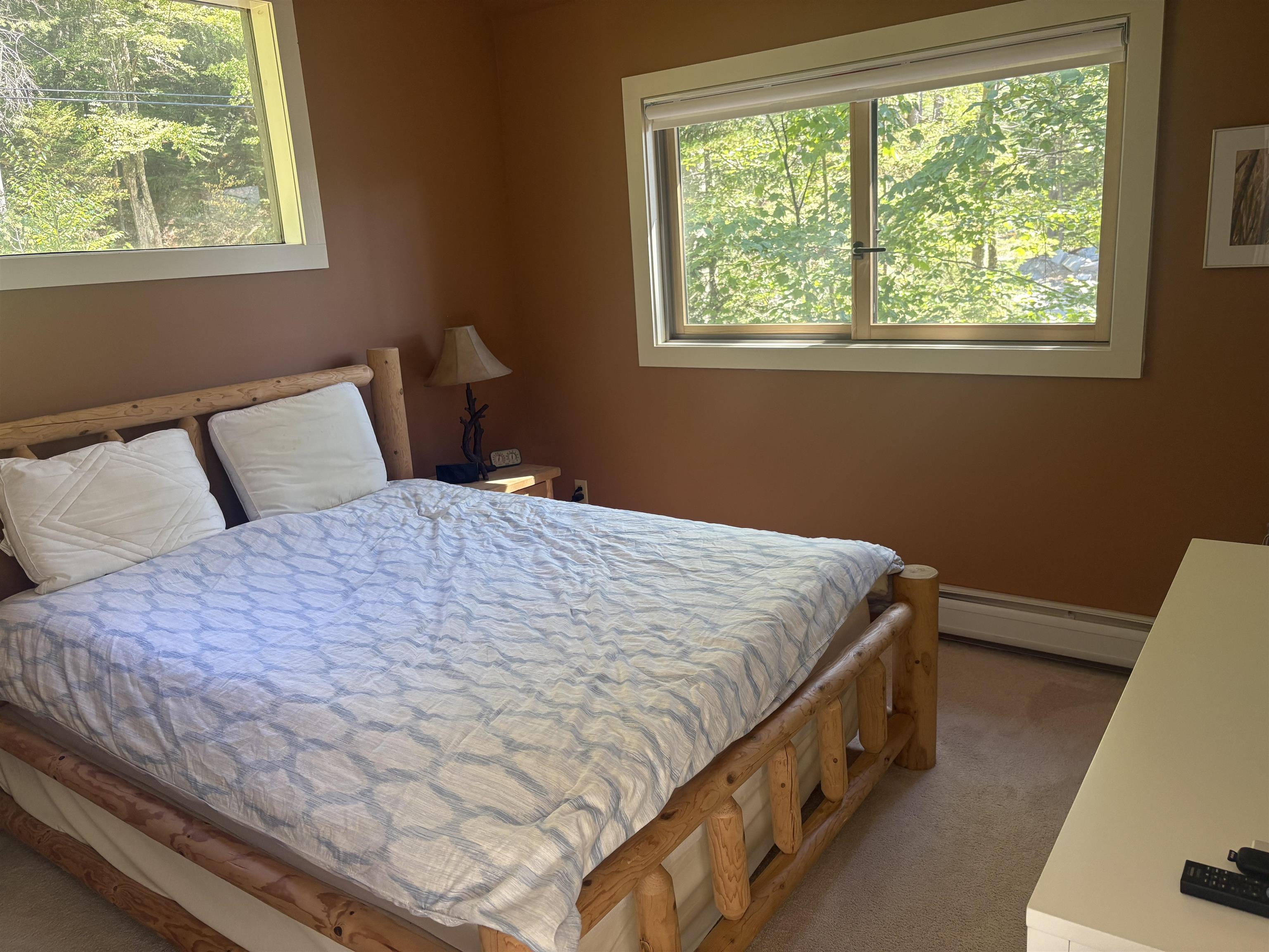 237 Ellison's Lake Road Ludlow, VT 05149 - Photo 7 of 16