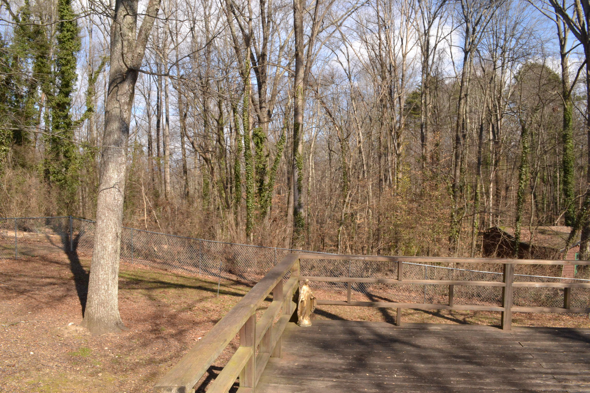 114 Outer Drive Oak Ridge, TN 37830 - Photo 27 of 31 DSC_0962