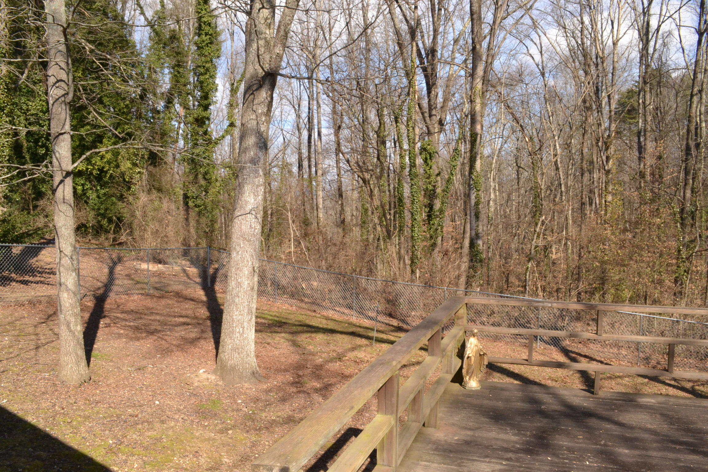 114 Outer Drive Oak Ridge, TN 37830 - Photo 28 of 31 DSC_0963