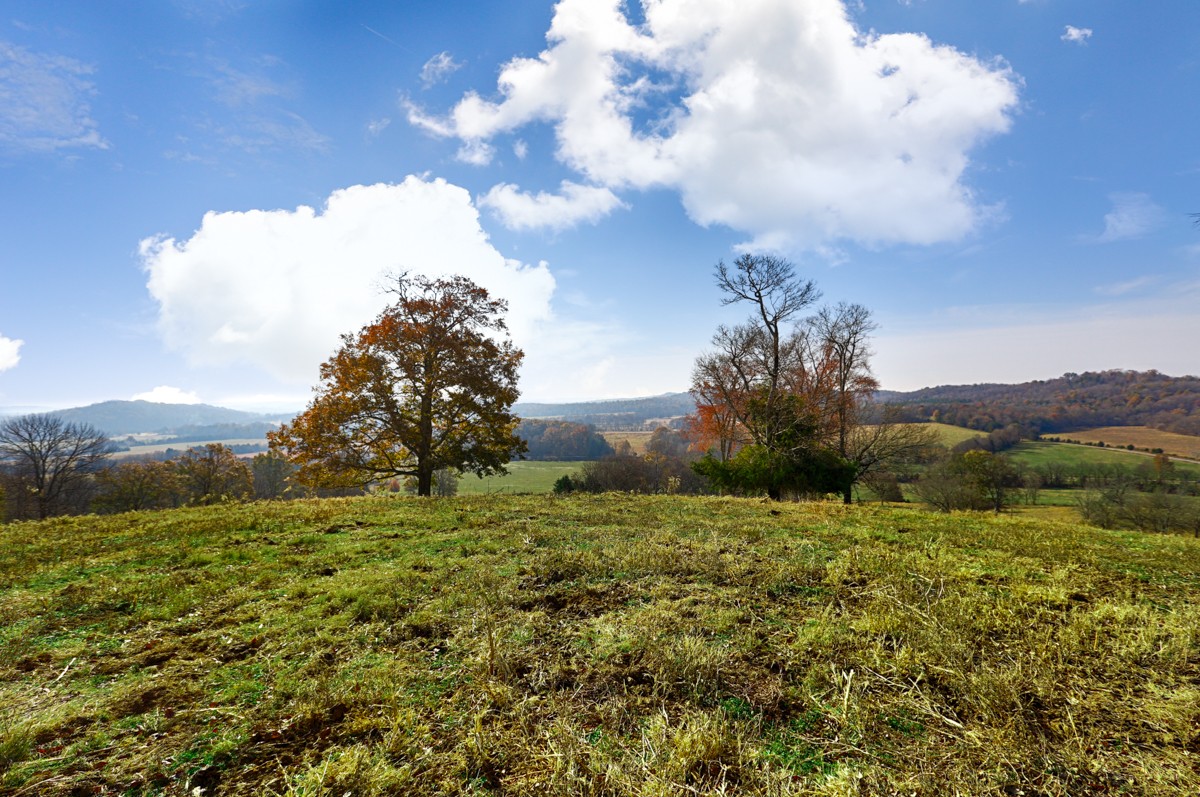 0 Masters Road Ardmore, TN 38449 - Photo 13 of 20 a view of a field with a tree in the background
