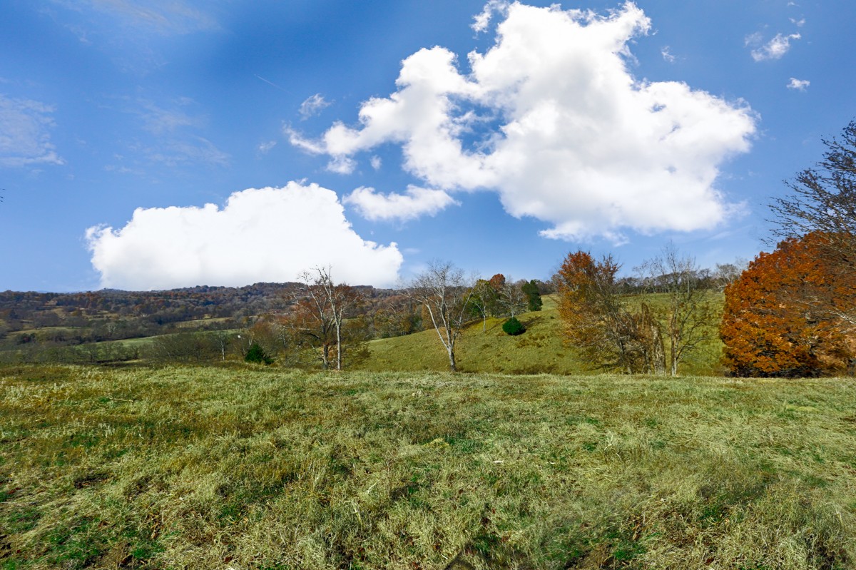 0 Masters Road Ardmore, TN 38449 - Photo 14 of 20 a view of mountain with green field