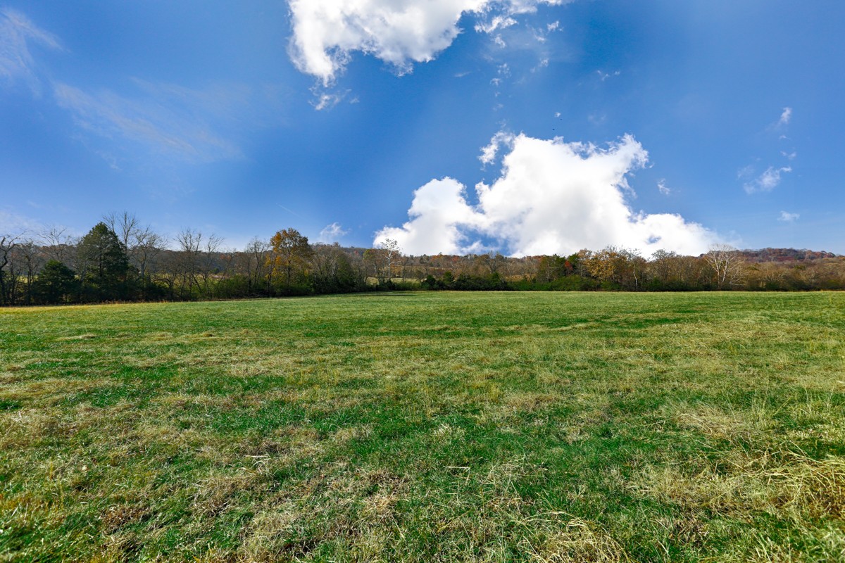 0 Masters Road Ardmore, TN 38449 - Photo 17 of 20 a view of a golf course with a lake