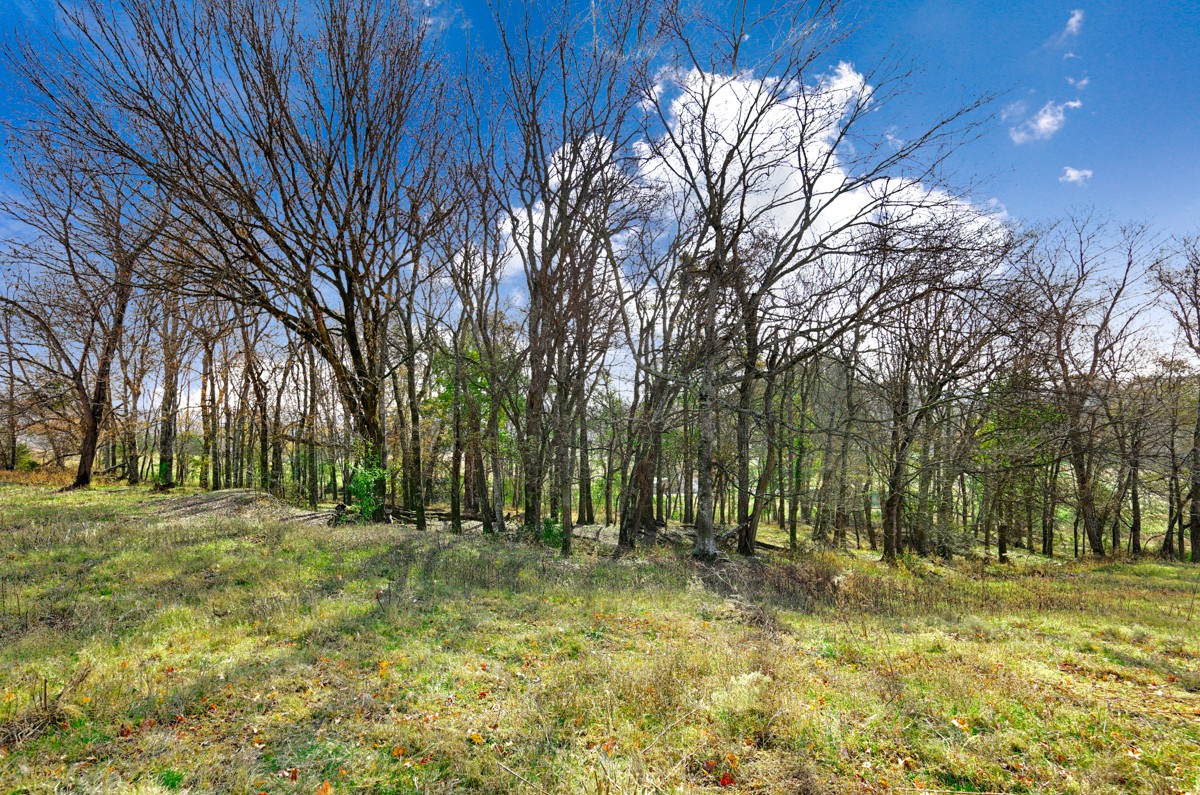 0 Masters Road Ardmore, TN 38449 - Photo 20 of 20 a view of outdoor space with trees