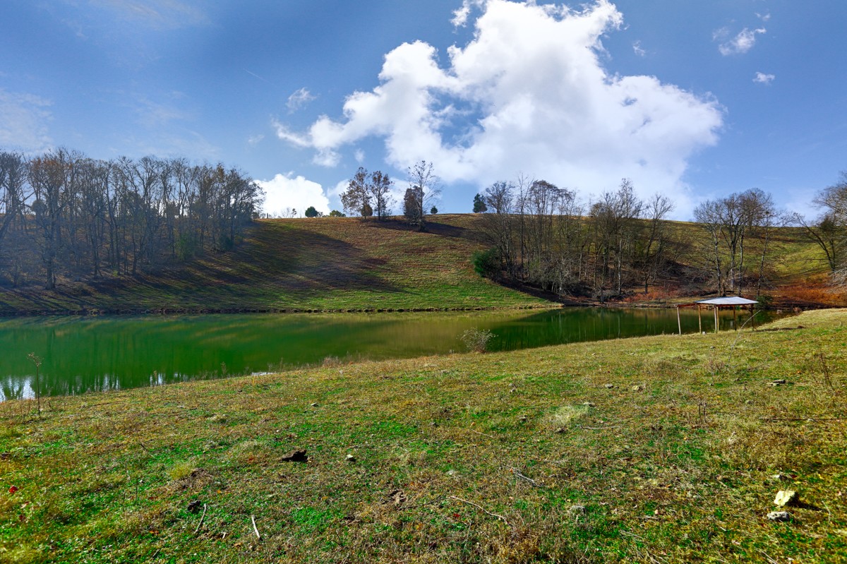 0 Masters Road Ardmore, TN 38449 - Photo 8 of 20 a view of a big yard