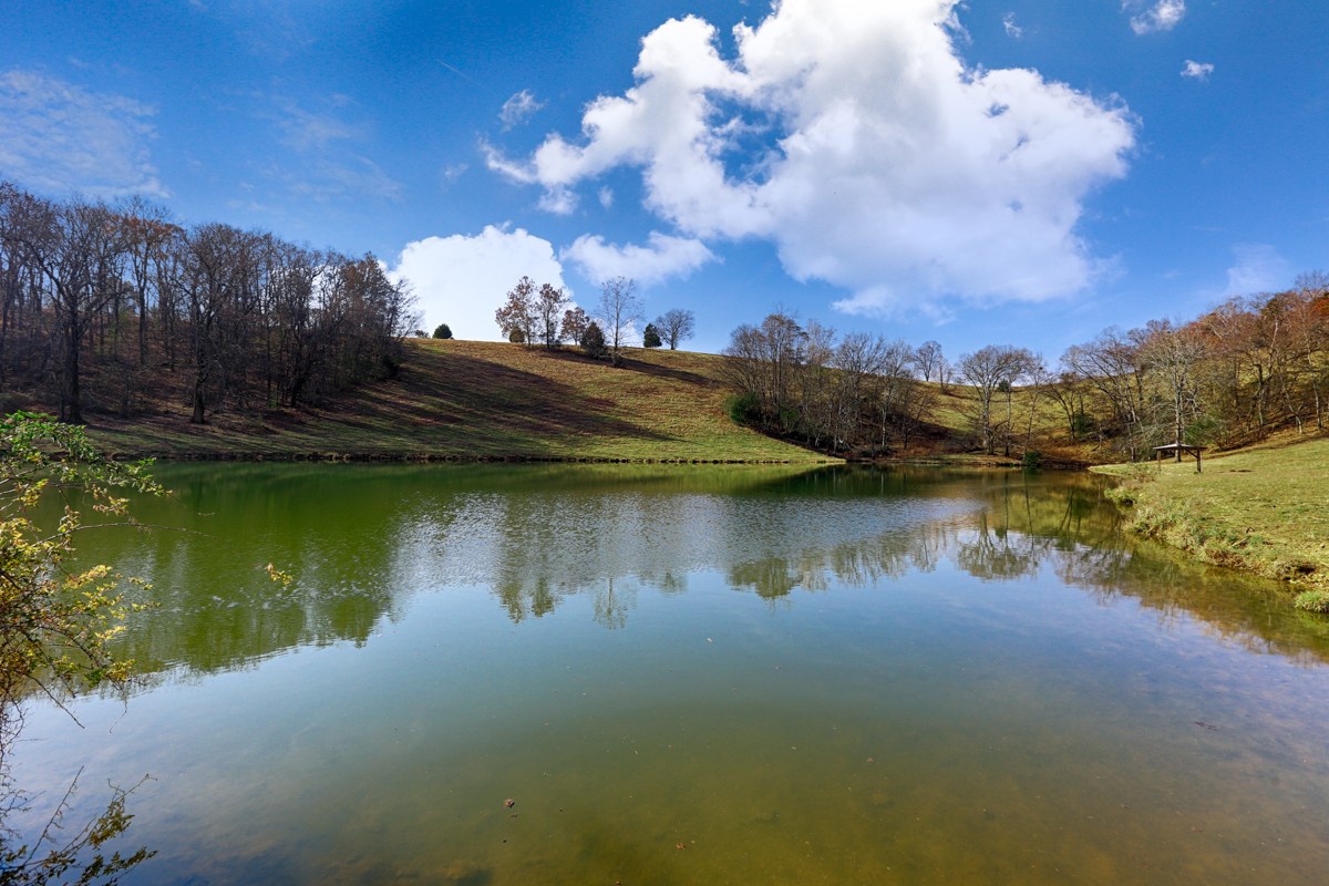 0 Masters Road Ardmore, TN 38449 - Photo 9 of 20 a view of a lake with houses in the back