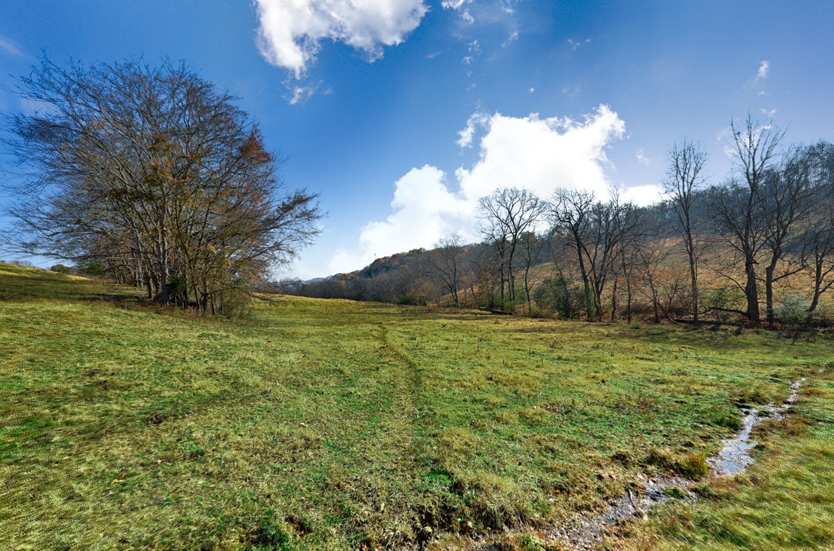 0 Masters Road Ardmore, TN 38449 - Photo 10 of 20 a view of grassy field with trees