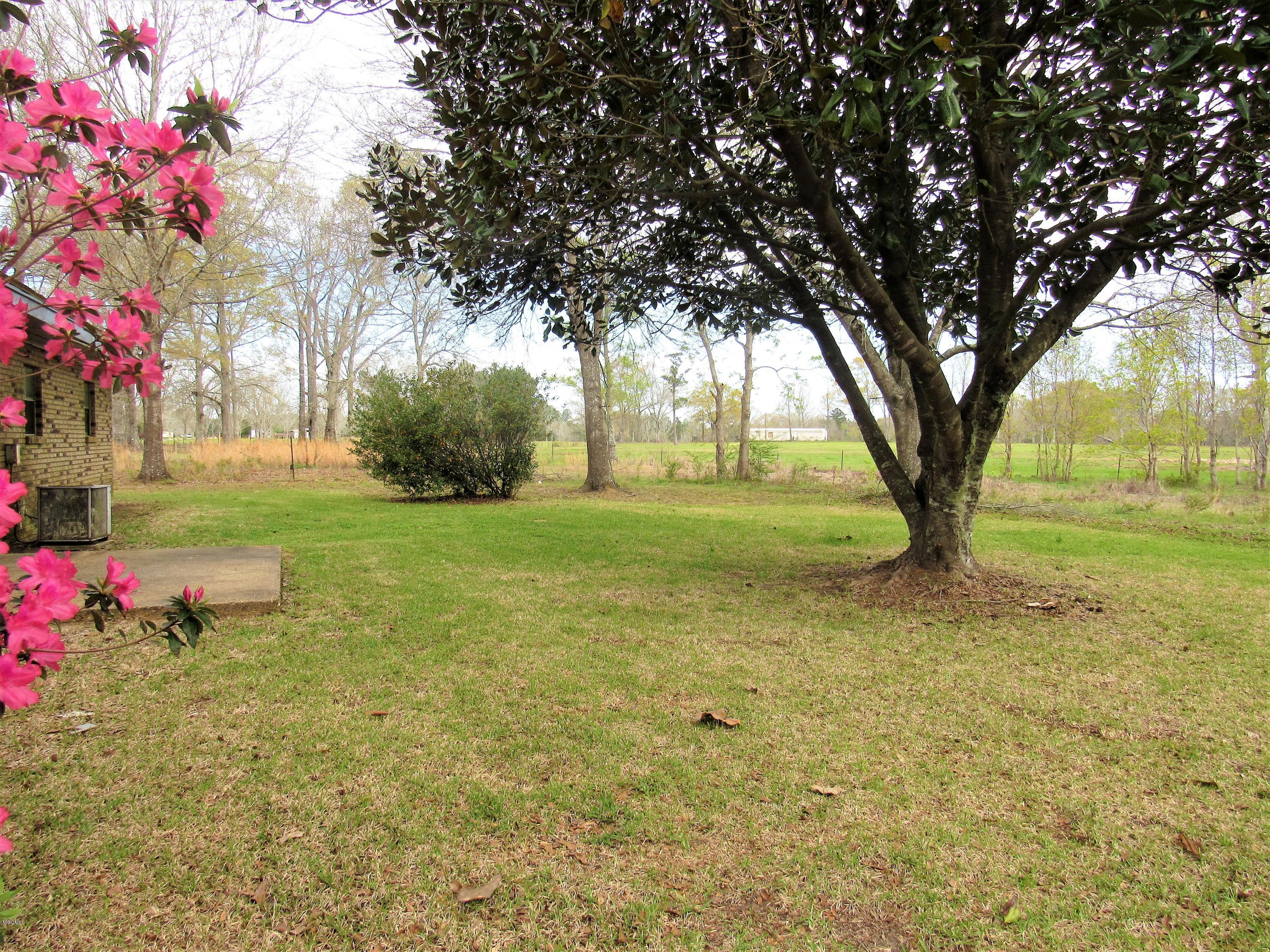 22716 Blackwell Farm Road Saucier, MS 39574 - Photo 19 of 21 BACKYARD VIEW 1