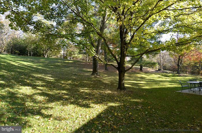 5 Narrows Court Silver Spring, MD 20906 - Photo 16 of 30 Gorgeous and private wooded views