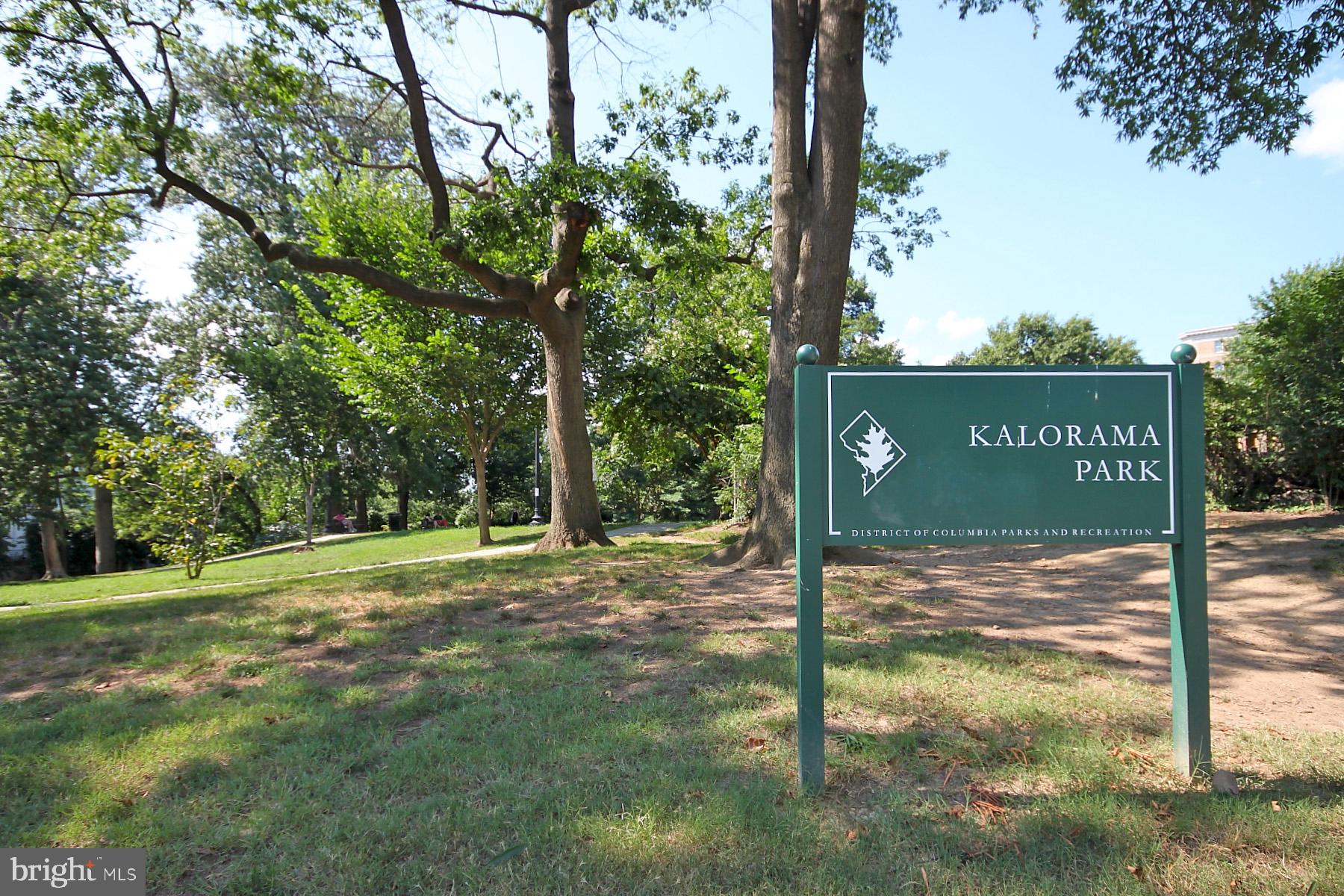 2007 Kalorama Road Northwest, Unit 1 Washington, DC 20009 - Photo 21 of 22