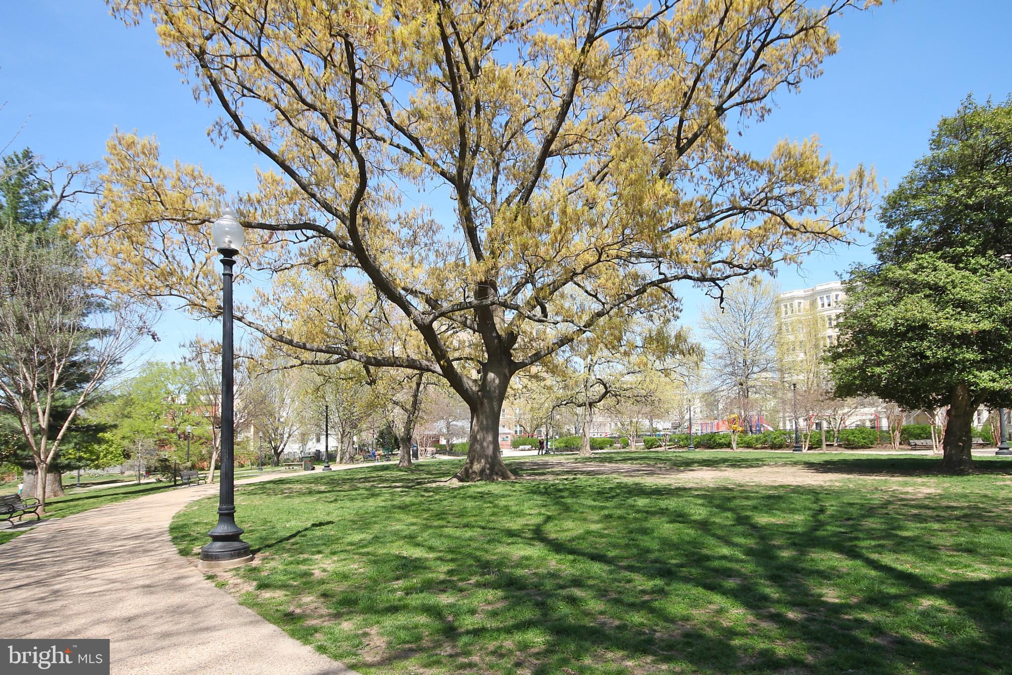 2007 Kalorama Road Northwest, Unit 1 Washington, DC 20009 - Photo 22 of 22