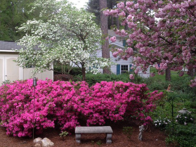 3907 Converse Drive Raleigh, NC 27609 - Photo 26 of 30 Backyard