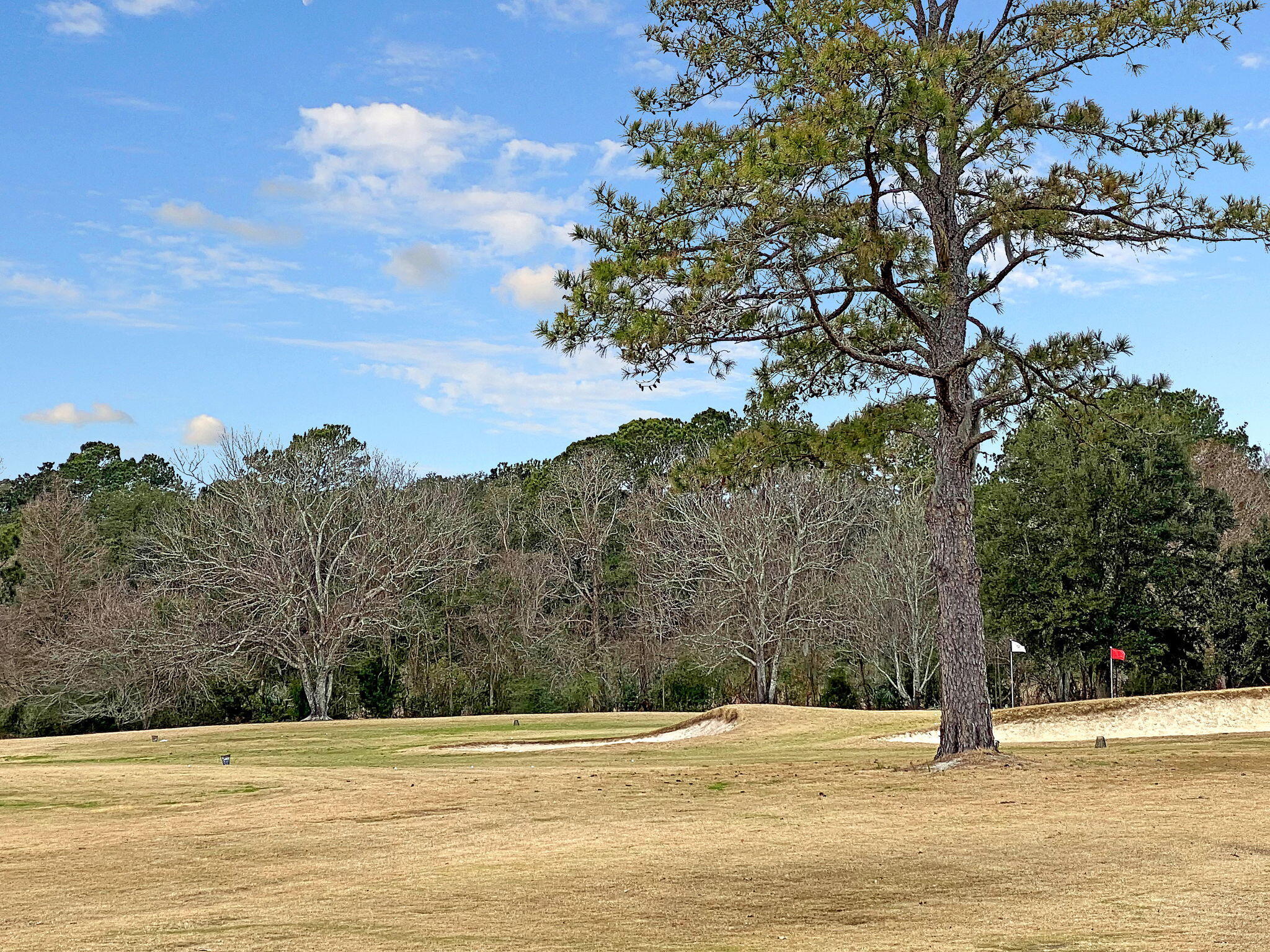 905 Battery Way Mount Pleasant, SC 29464 - Photo 73 of 79 Snee Farm