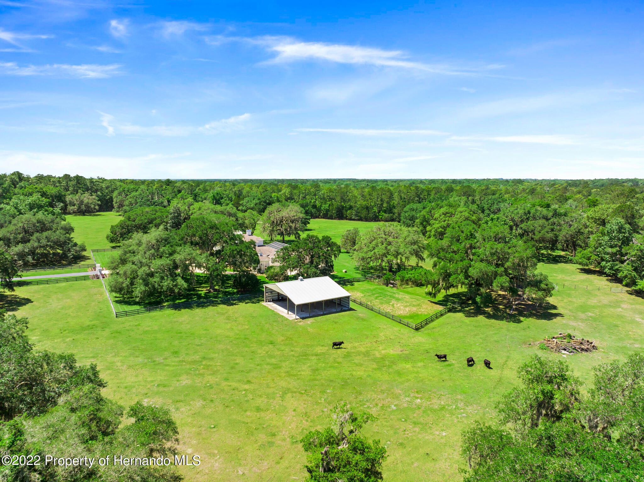 21411 Brookes Run Road Brooksville, FL 34602 - Photo 52 of 62 a view of a garden with an outdoor space
