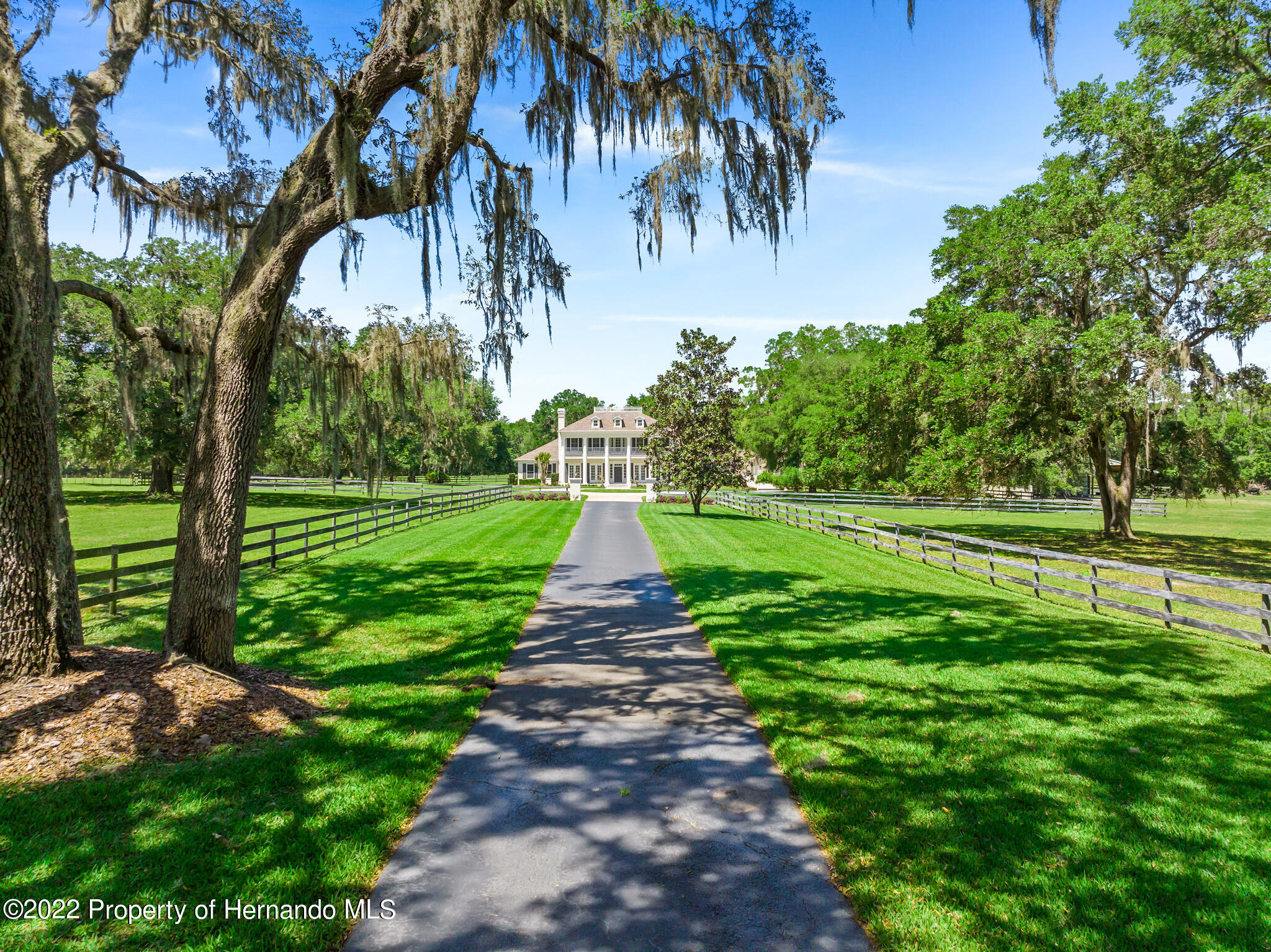 21411 Brookes Run Road Brooksville, FL 34602 - Photo 54 of 62 a big yard with lots of green space