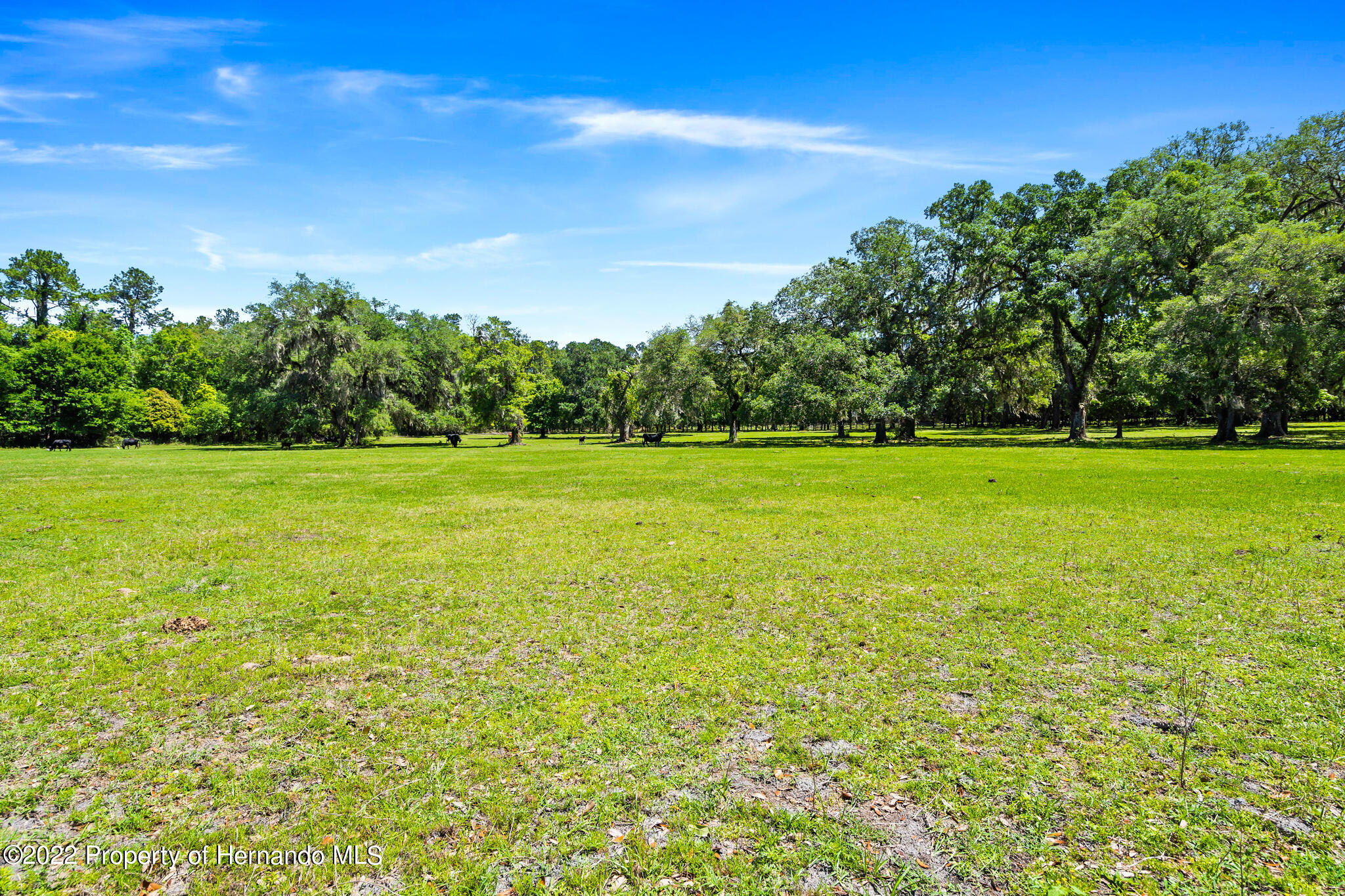 21411 Brookes Run Road Brooksville, FL 34602 - Photo 59 of 62 a view of a green field with lots of bushes