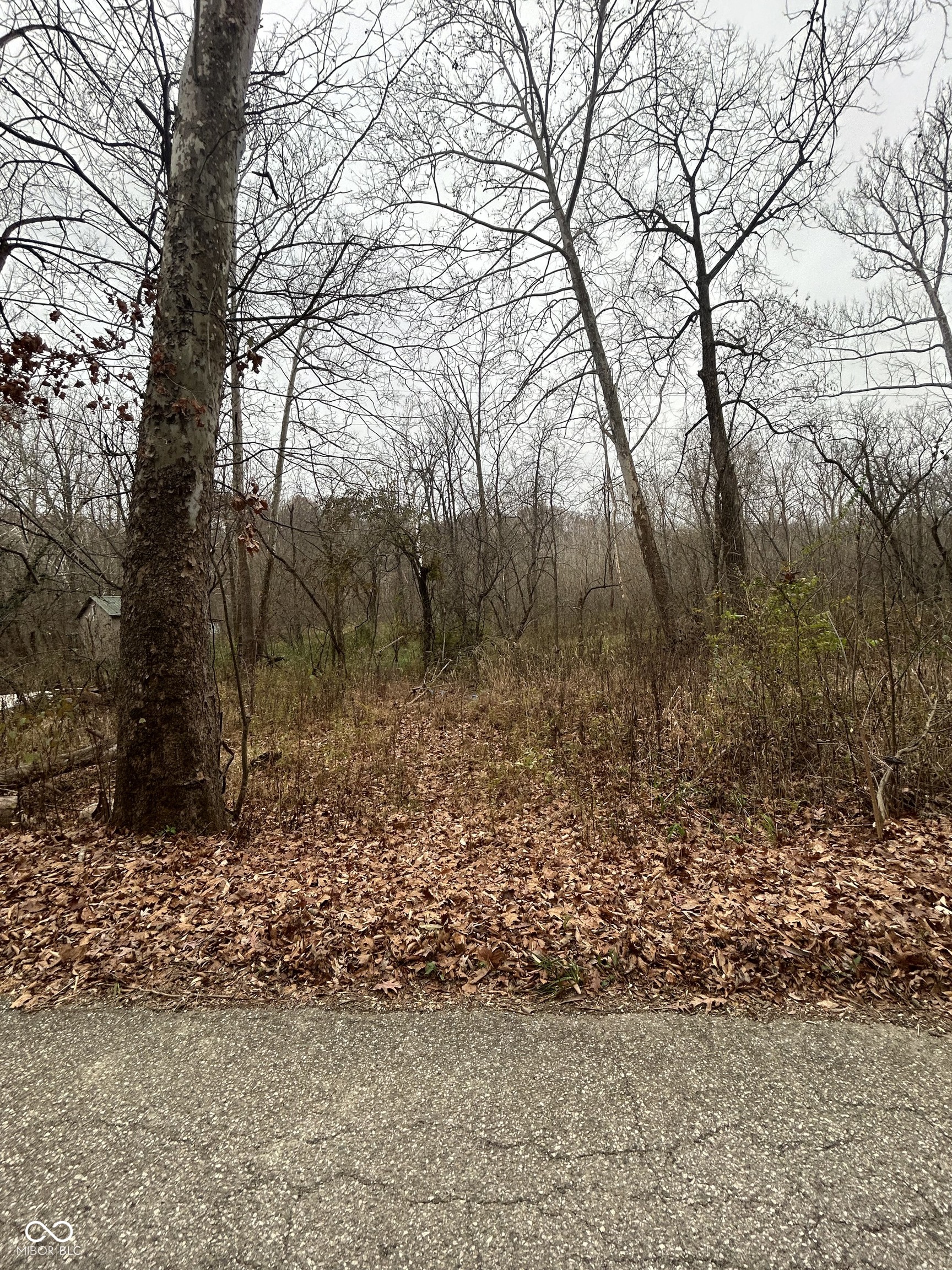 0 Upper Patton Park Road Martinsville, IN 46151 - Photo 2 of 3