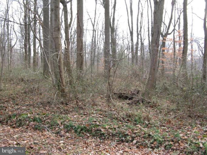 Canvasback Road Chestertown, MD 21620 - Photo 3 of 6 Wooded View / Acreage