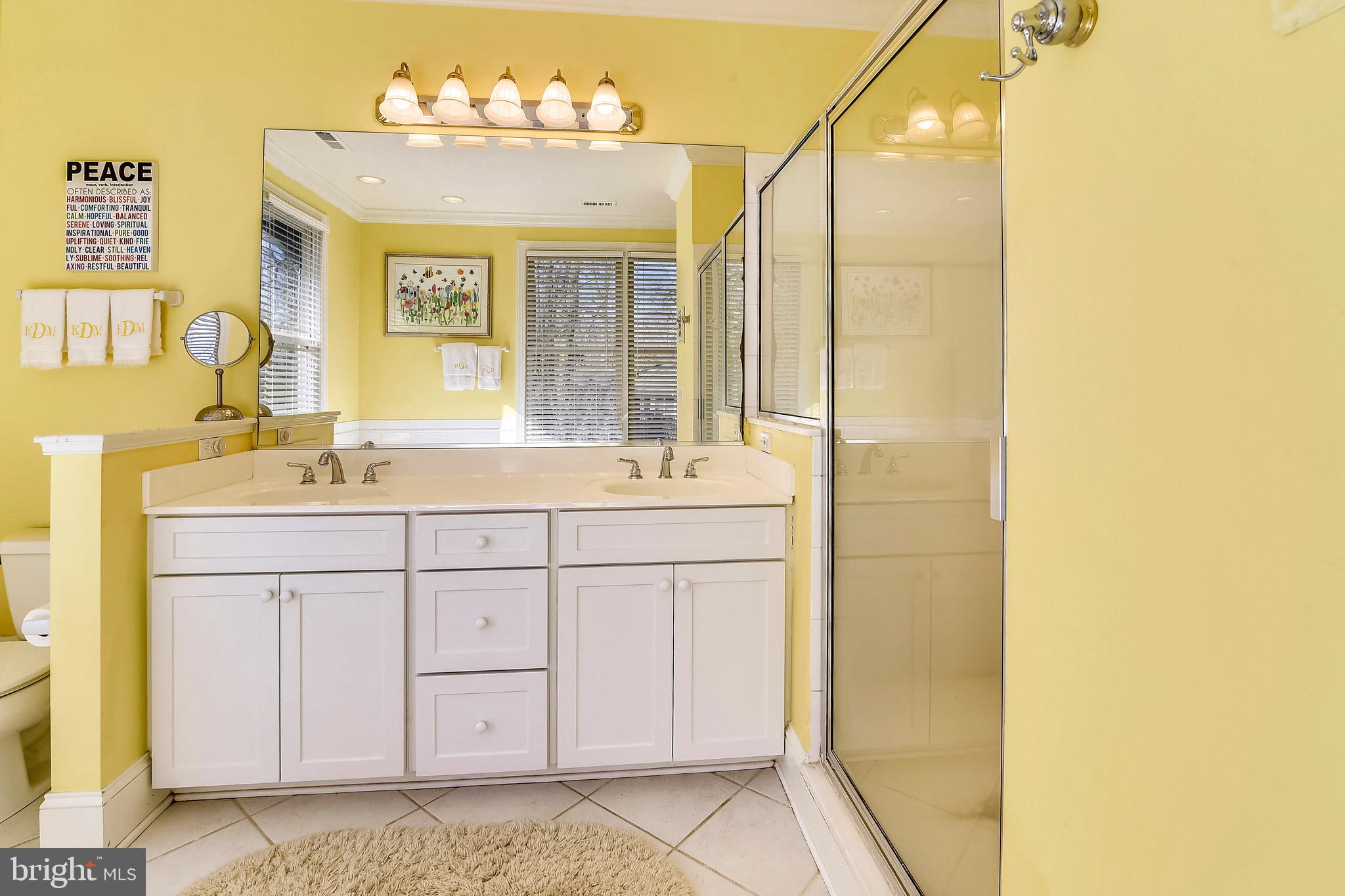 331 Thorsby Road Annapolis, MD 21405 - Photo 28 of 57 Master Bathroom