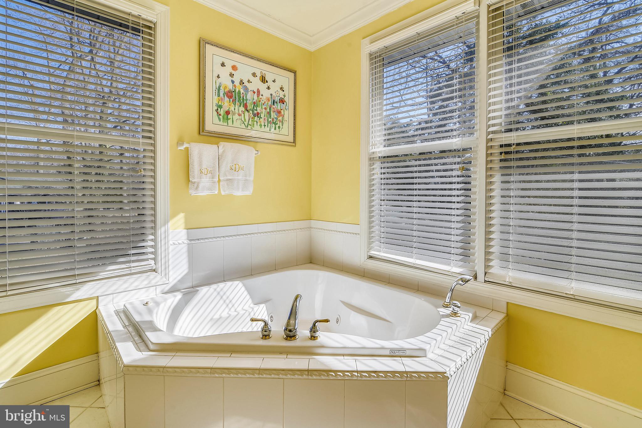 331 Thorsby Road Annapolis, MD 21405 - Photo 29 of 57 Master Bathroom