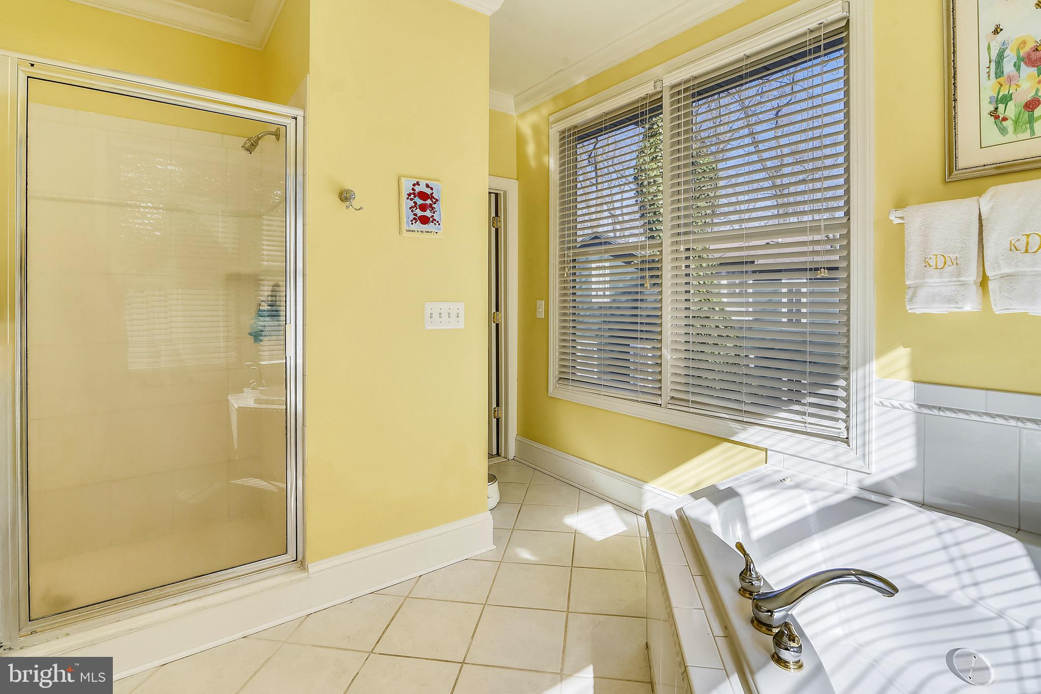 331 Thorsby Road Annapolis, MD 21405 - Photo 30 of 57 Master Bathroom