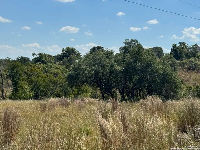 $750,000 | 872 Oak Drive, Blanco, TX 78606