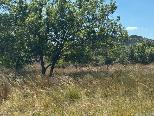 $750,000 | 872 Oak Drive, Blanco, TX 78606