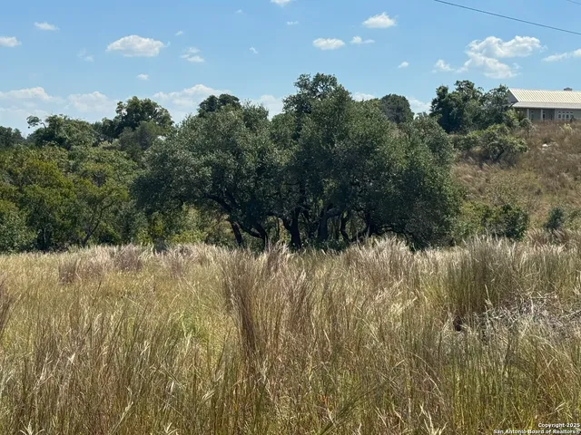 $750,000 | 872 Oak Drive, Blanco, TX 78606