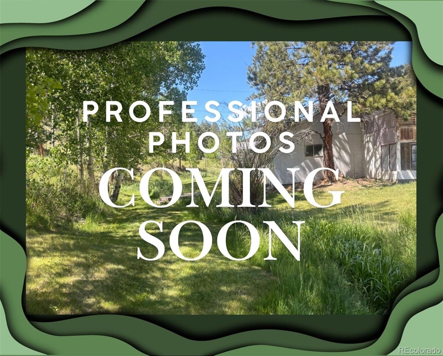 427 Brookside Drive Bailey, CO 80421 - Photo 1 of 2