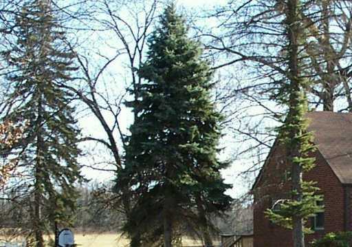 4536 Bakerstown Road Gibsonia, PA 15044 - Photo 8 of 8 Other.