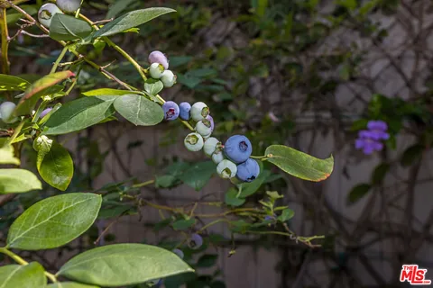 $3,395,000 | 1601 North Curson Avenue, Los Angeles, CA 90046