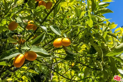 $3,395,000 | 1601 North Curson Avenue, Los Angeles, CA 90046