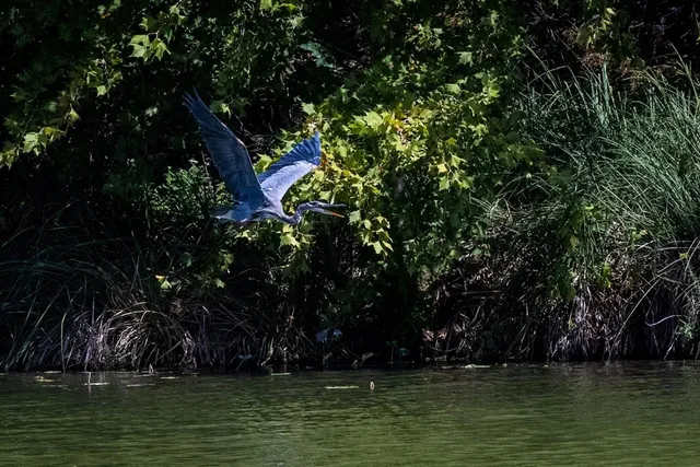 $469,000 | 184 Marymeade Drive, Hunt, TX 78024