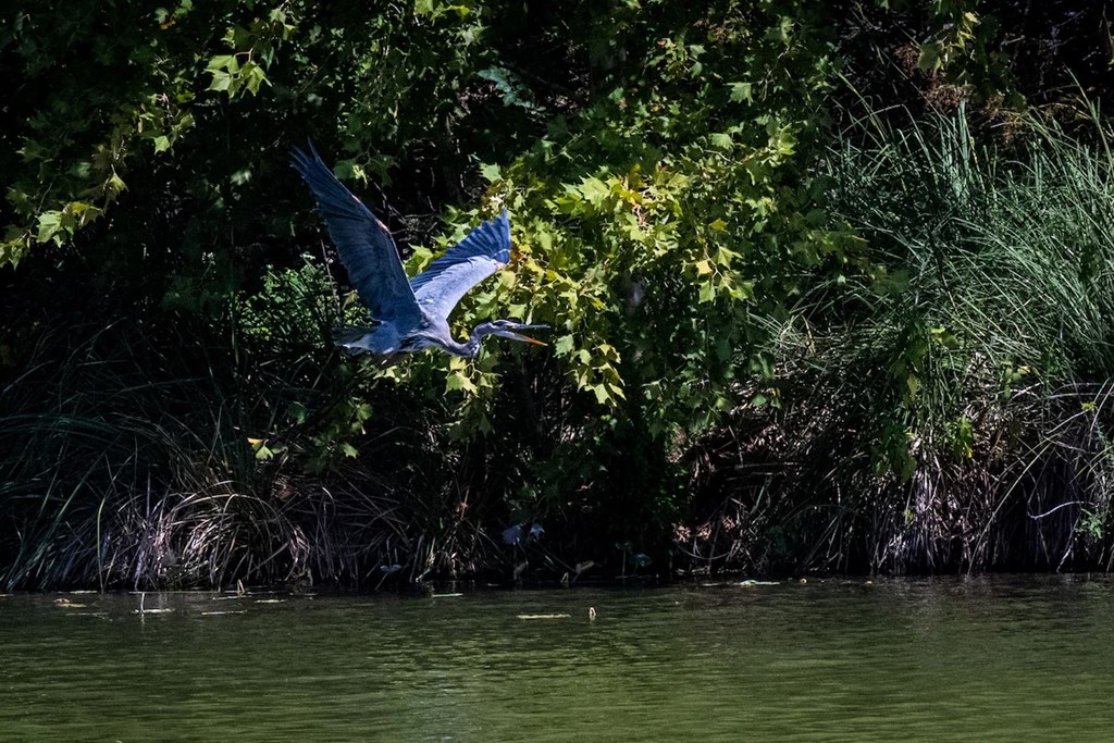 184 Marymeade Drive Hunt, TX 78024 - Photo 43 of 47