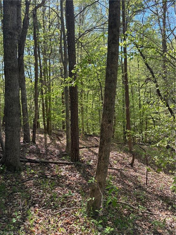 0 Tom Mix Road Westfield, NC 27053 - Photo 11 of 33