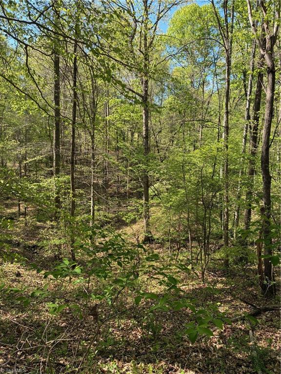 0 Tom Mix Road Westfield, NC 27053 - Photo 12 of 33