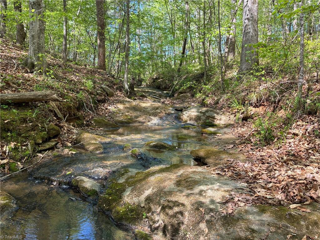 0 Tom Mix Road Westfield, NC 27053 - Photo 13 of 33