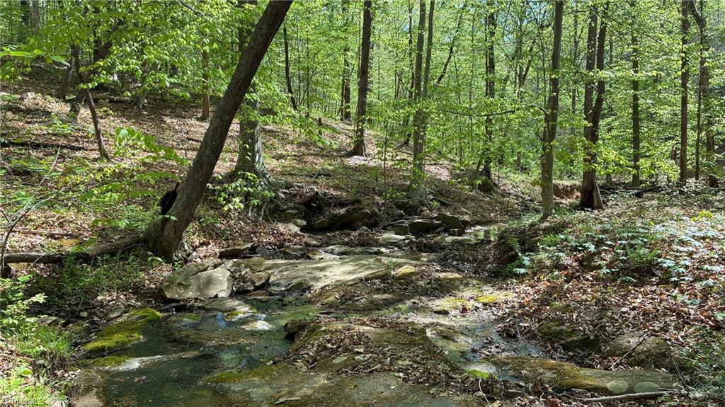 0 Tom Mix Road Westfield, NC 27053 - Photo 14 of 33