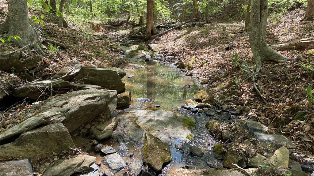 0 Tom Mix Road Westfield, NC 27053 - Photo 15 of 33