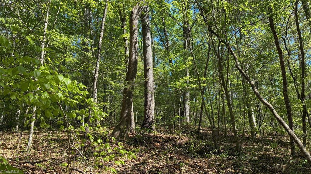 0 Tom Mix Road Westfield, NC 27053 - Photo 16 of 33