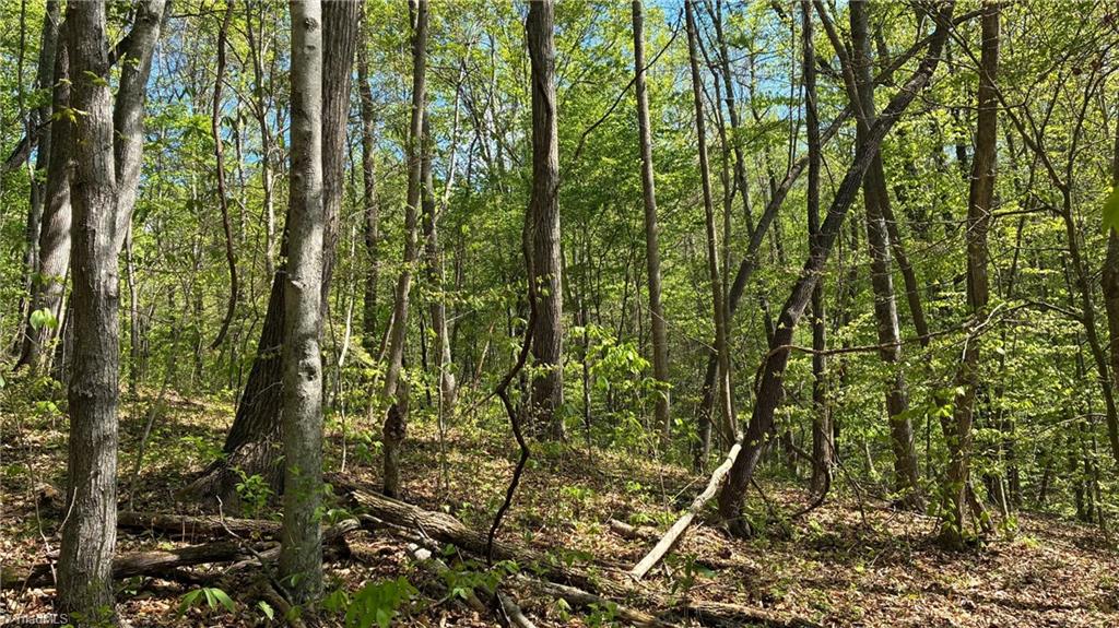 0 Tom Mix Road Westfield, NC 27053 - Photo 18 of 33
