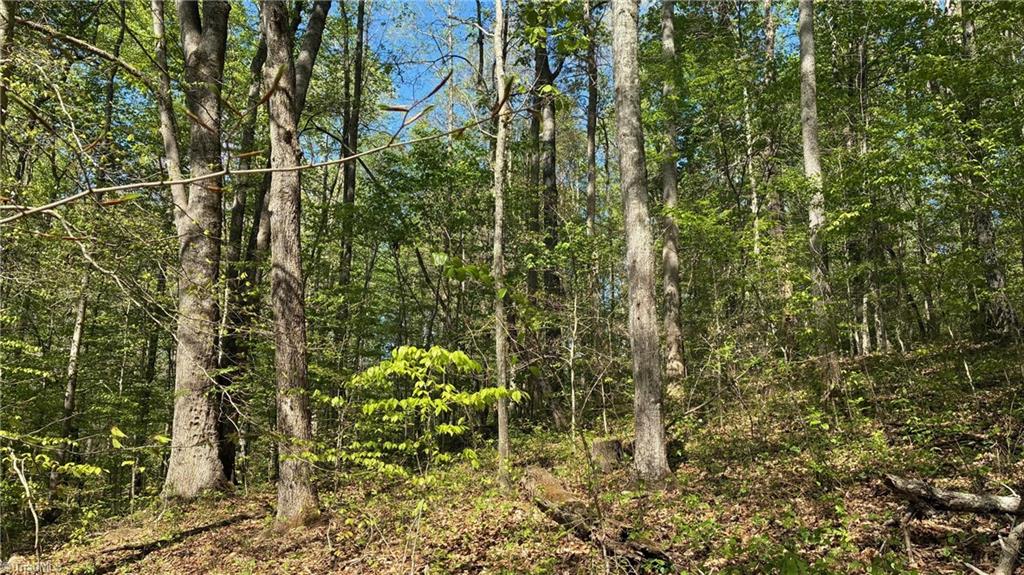 0 Tom Mix Road Westfield, NC 27053 - Photo 19 of 33